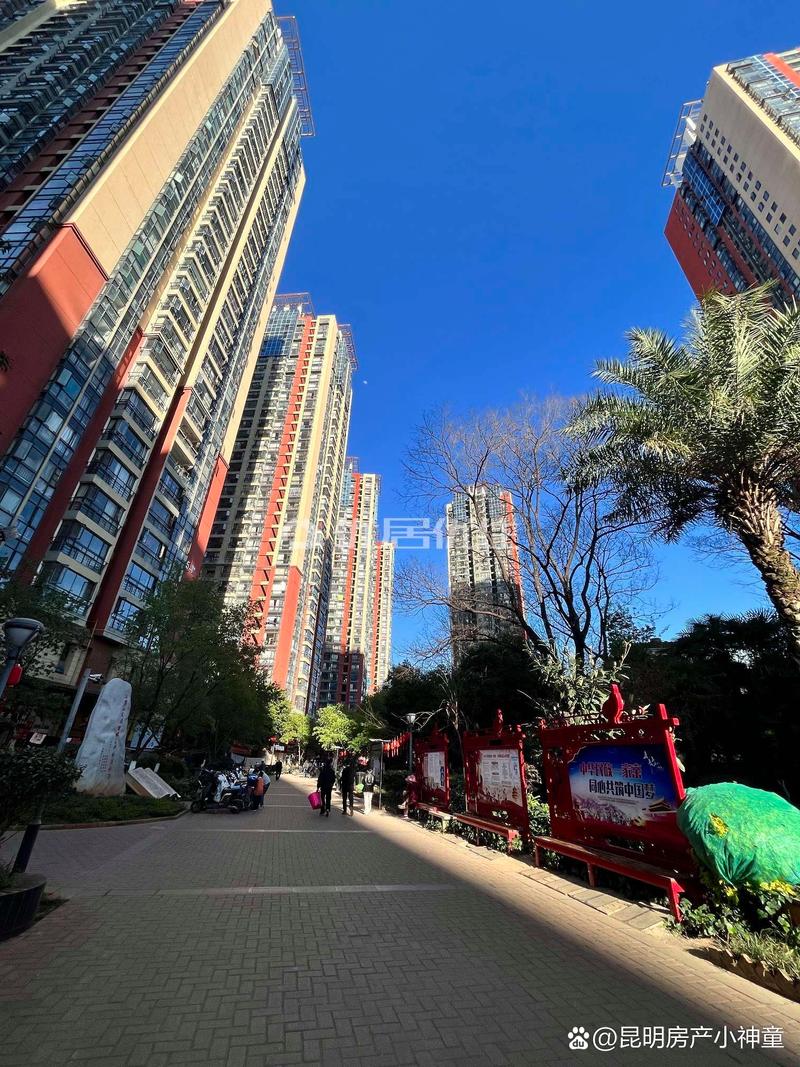 昆明房屋出租市场动态概览